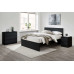 Oslo 2 Drawer Bedside (Black) 
